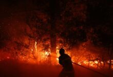 Κόλαση-φωτιάς-στη-νοτιοδυτική-Γαλλία:-Εκκενώνεται-με-το-θέρετρο-Καπ-Φερέ-–-Άνθρωποι-απομακρύνoνται-με-βάρκες