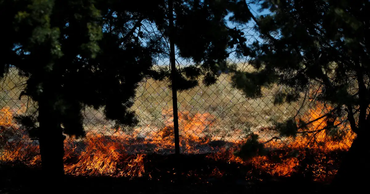 Φωτιά-στο-Κορωπί:-Πάνω-από-45-πυροσβέστες-για-την-κατάσβεσή-της