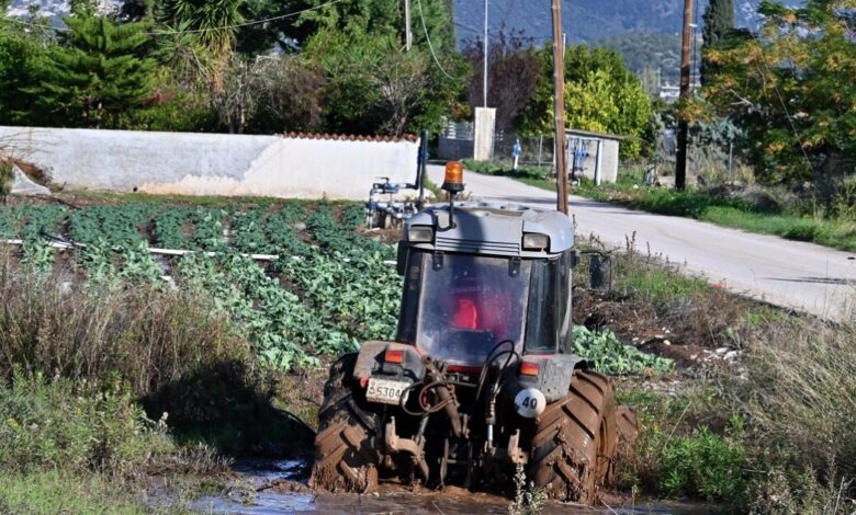 Ο-ΕΛΓΑ-ξεκίνησε-τις-καταγραφές-ζημιών-από-τις-χαλαζοπτώσεις-–-Αποζημιώσεις-στο-100%-και-προκαταβολές-στα-πρότυπα-daniel