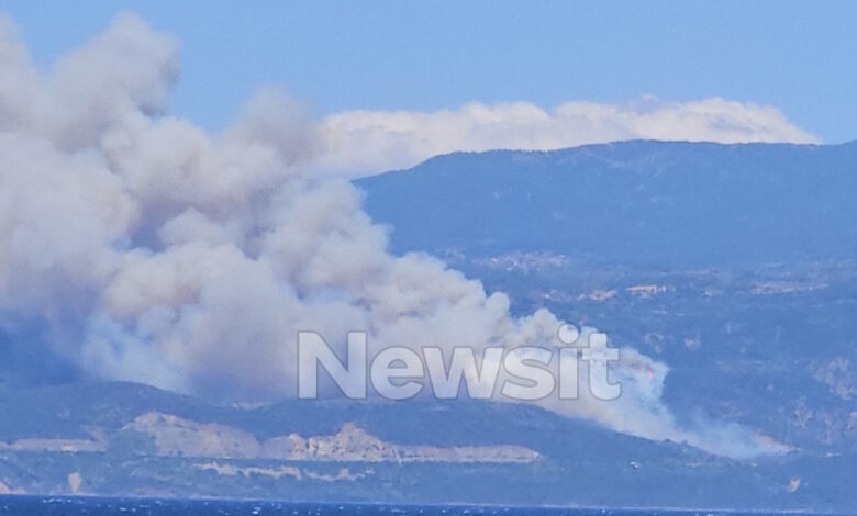 Φωτιά-στο-Σκάλωμα-Φωκίδας-–-Μήνυμα-του-112-για-εκκένωση-4-οικισμών-«απομακρυνθείτε-προς-Πευκάκι-και-Ευπάλειο»
