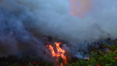 Φωτιές-σε-Αττική-και-Βοιωτία:-Σχεδόν-500-πυροσβέστες-επιχειρούν-στο-πεδίο,-οι-ισχυροί-άνεμοι-εμπόδιζαν-τα-εναέρια