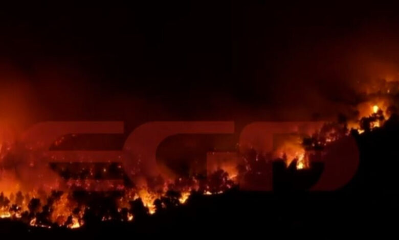Φωτιά-στο-Πόρτο-Γερμενό:-Εικόνες-καταστροφής-από-drone-–-Σε-μήκος-πολλών-χιλιομέτρων-το-πύρινο-μέτωπο