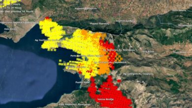 Φωτιά-σε-Αττική-και-Βοιωτία:-Πάνω-από-100.000-τα-καμένα-στρέμματα-από-τη-megafire-–-Αγώνας-δρόμου-να-σωθούν-περιουσίες