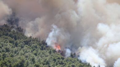 Φωτιά-σε-Βοιωτία-και-Αττική:-Στον-εισαγγελέα-της-Θήβας-οι-δύο-συλληφθέντες