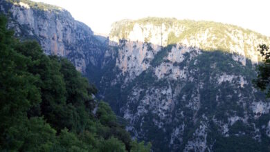 Θεσπρωτία:-Νεκρός-20χρονος-τουρίστας-από-τη-Χιλή-σε-χαράδρα-στα-ελληνοαλβανικά-σύνορα