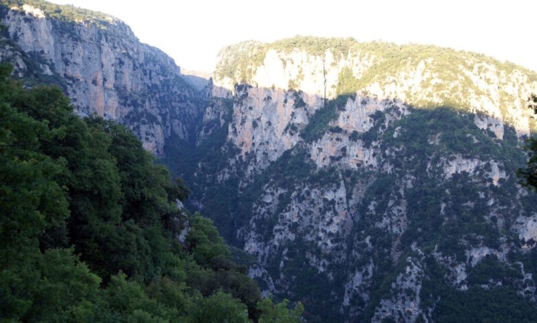 Θεσπρωτία:-Νεκρός-20χρονος-τουρίστας-από-τη-Χιλή-σε-χαράδρα-στα-ελληνοαλβανικά-σύνορα