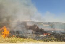 Φωτιά-σε-αγροτική-έκταση-στον-Πετρόπορο-–-Έγκαιρη-η-επέμβαση-της-Πυροσβεστικής