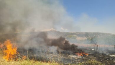 Φωτιά-σε-αγροτική-έκταση-στον-Πετρόπορο-–-Έγκαιρη-η-επέμβαση-της-Πυροσβεστικής