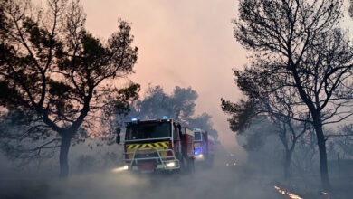 Σύλληψη-δημάρχου-για-τη-φωτιά-στη-Βοιωτία:-«Στη-δικαιοσύνη-δεν-χωρούν-Ιφιγένειες»-–-Η-απάντηση-του-δικηγόρου-του