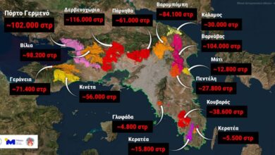 Φωτιές-στην-Αττική:-Το-42%-των-δασών-κάηκε-μέσα-στα-10-τελευταία-χρόνια