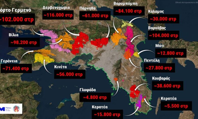 Φωτιές-στην-Αττική:-Το-42%-των-δασών-κάηκε-μέσα-στα-10-τελευταία-χρόνια