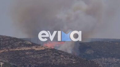 Φωτιά-στην-Σκύρο-στην-περιοχή-Κολυμπάδα:-Επιχειρούν-4-αεροσκάφη