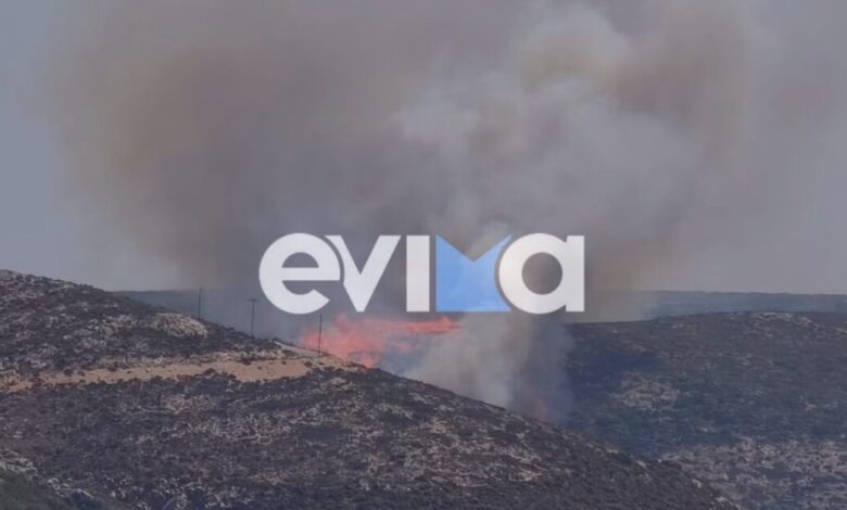 Φωτιά-στην-Σκύρο-στην-περιοχή-Κολυμπάδα:-Επιχειρούν-4-αεροσκάφη
