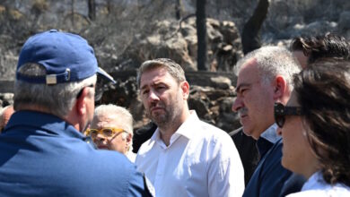 Το-ΠΑΣΟΚ-ανεβάζει-στροφές-και-ο-Ανδρουλάκης-ετοιμάζει-τη-«μάχη»-της-ΔΕΘ