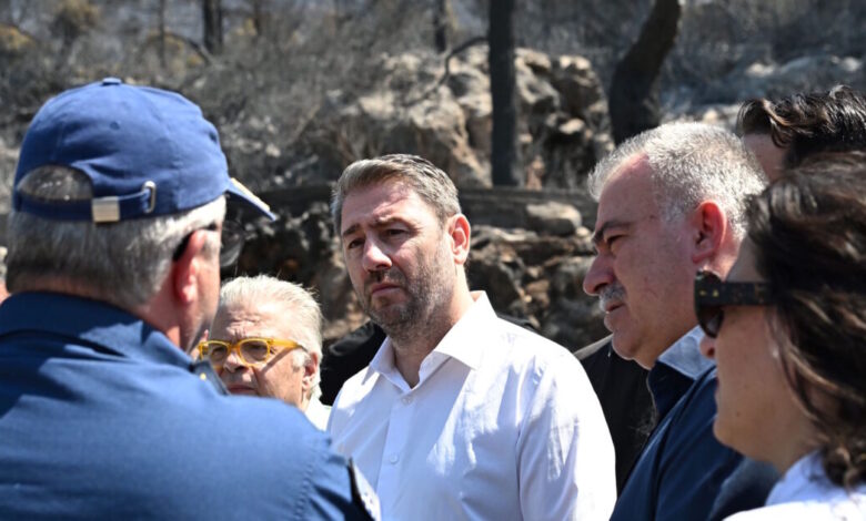 Το-ΠΑΣΟΚ-ανεβάζει-στροφές-και-ο-Ανδρουλάκης-ετοιμάζει-τη-«μάχη»-της-ΔΕΘ