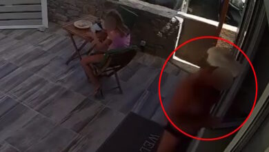 Κρήτη:-Τουρίστας-ρωτούσε-πόσο-να-πληρώσει-για-να-ασελγήσει-σε-10χρονο-κορίτσι-που-καθόταν-αμέριμνο-σε-αυλή-επιχείρησης
