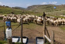 Επιπλέον-12,5-εκατ.-ευρώ-για-μέτρα-βιοασφάλειας
