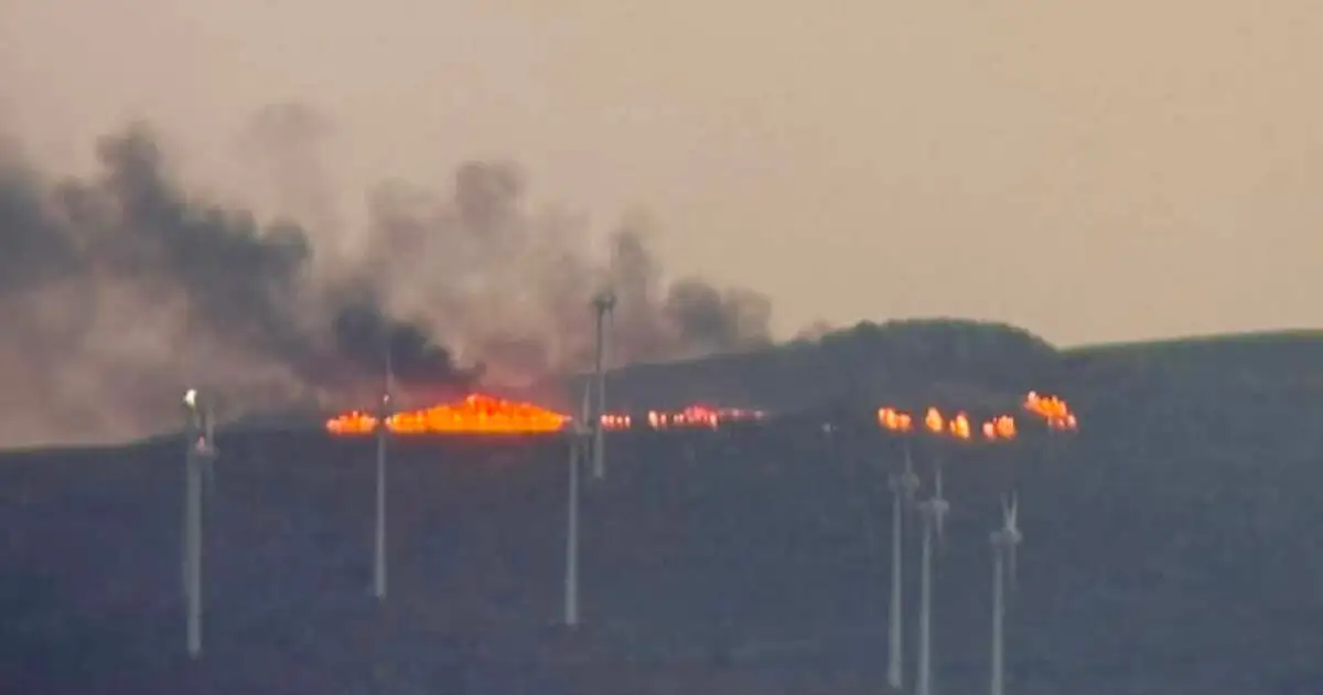 Φωτιά-στη-Σητεία-στην-περιοχή-Αχλαδιά-–-Άμεση-επέμβαση-της-πυροσβεστικής