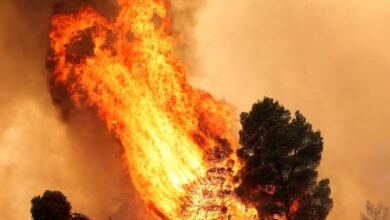 Καιρός-«hot-–-dry-–-windy»-τις-επόμενες-48-ώρες:-Αυξημένος-ο-κίνδυνος-φωτιάς,-συναγερμός-σε-6-περιφέρειες