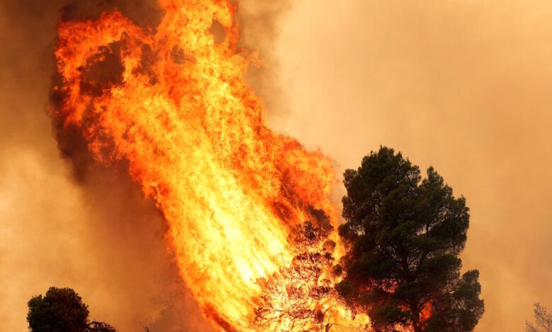 Καιρός-«hot-–-dry-–-windy»-τις-επόμενες-48-ώρες:-Αυξημένος-ο-κίνδυνος-φωτιάς,-συναγερμός-σε-6-περιφέρειες