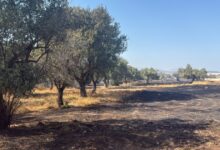 Οριοθετήθηκε-η-φωτιά-στο-Κορωπί-–-Μήνυμα-του-112-για-ετοιμότητα