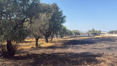 Οριοθετήθηκε-η-φωτιά-στο-Κορωπί-–-Μήνυμα-του-112-για-ετοιμότητα