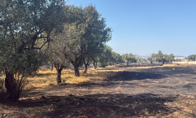 Οριοθετήθηκε-η-φωτιά-στο-Κορωπί-–-Μήνυμα-του-112-για-ετοιμότητα