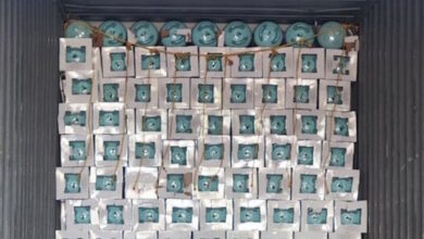 ΑΑΔΕ:-1296-δοχεία-με-παράνομο-φρέον-κατασχέθηκαν-σε-Κήπους-και-Δοϊράνη-–-Ξεπερνούν-τις-338.000-ευρώ-οι-διαφυγόντες-δασμοί