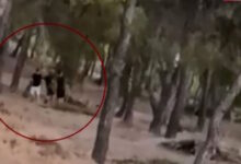 challenge-ανηλίκων-μέσα-σε-δάσος-στη-λεωφόρο-Πεντέλης-–-Βάζουν-φωτιά-και-μετά-προσπαθούν-να-τη-σβήσουν