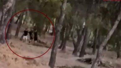 challenge-ανηλίκων-μέσα-σε-δάσος-στη-λεωφόρο-Πεντέλης-–-Βάζουν-φωτιά-και-μετά-προσπαθούν-να-τη-σβήσουν