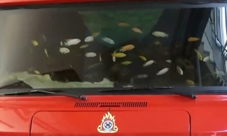 Χανιά:-Πυροσβέστες-μετέτρεψαν-πυροσβεστικό-όχημα-σε-ενυδρείο