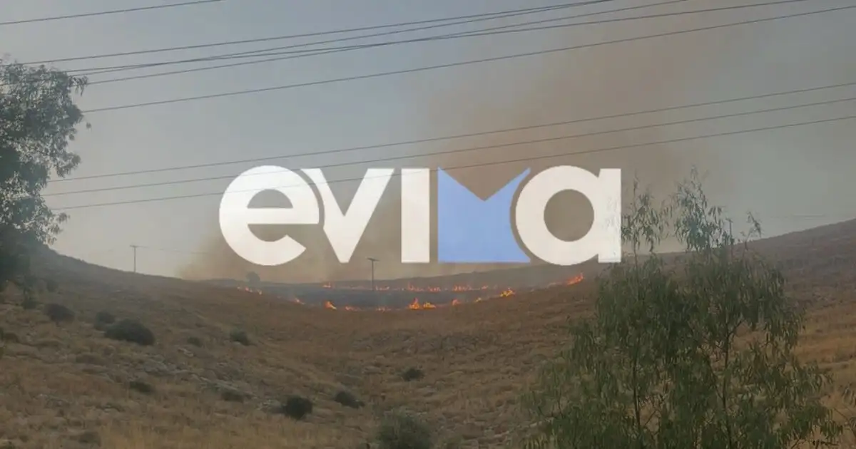 Φωτιά-στη-Χαλκίδα-–-Καίει-χαμηλή-βλάστηση