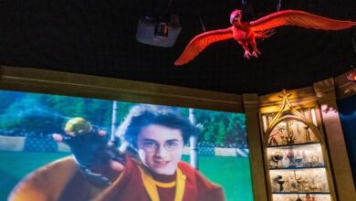 Βρετανία:-Θαυμαστές-του-Χάρι-Πότερ-άλλαξαν-την-πορεία-υποθαλάσσιου-καλωδίου-430-εκατ.-λιρών-για-να-σωθεί-ο-«τάφος»-του-Ντόμπι