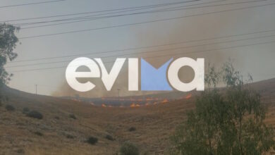 Σε-ύφεση-η-φωτιά-στη-Χαλκίδα-–-Έκαψε-χαμηλή-βλάστηση