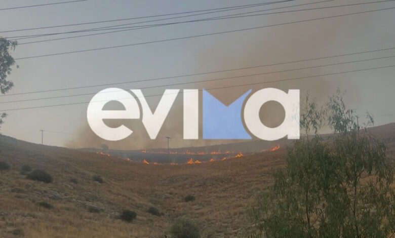Σε-ύφεση-η-φωτιά-στη-Χαλκίδα-–-Έκαψε-χαμηλή-βλάστηση