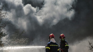 Οριοθετήθηκε-η-φωτιά-στο-Νότιο-Πήλιο:-Είχε-σταλεί-μήνυμα-από-το-112-για-ετοιμότητα