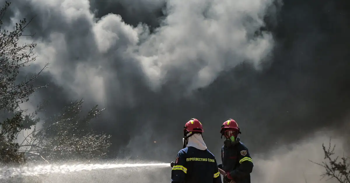 Φωτιά-στο-Νότιο-Πήλιο:-Ισχυρές-δυνάμεις-στη-μάχη-με-τις-φλόγες-–-Μήνυμα-από-το-112-για-ετοιμότητα