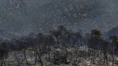 Αντιπλημμυρικά-έργα-1,5-εκατ.-ευρώ-στα-καμένα-της-Δυτικής-Αττικής-–-Ξεκινούν-πριν-τις-15-Σεπτεμβρίου