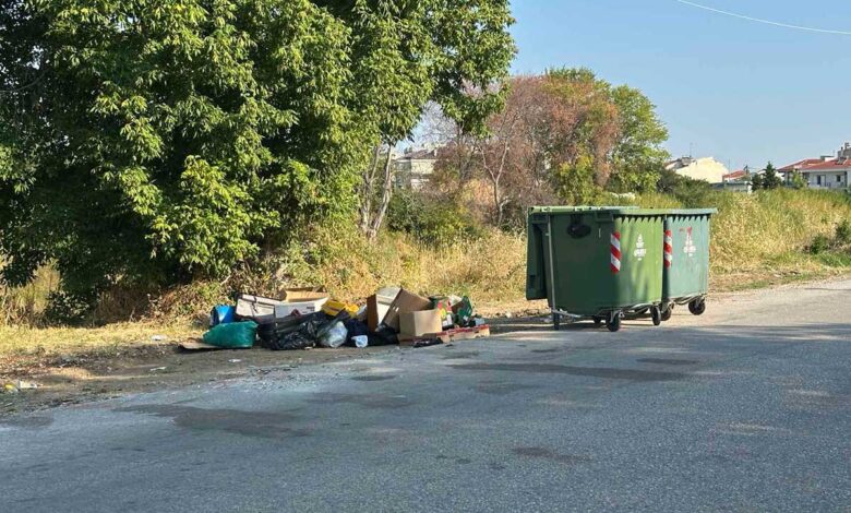 Τρίκαλα:-Άδειοι-οι-κάδοι,-τα-σκουπίδια-απ’-έξω