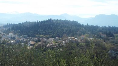 Τρίκαλα:-Απαγόρευση-κυκλοφορίας-σε-δάση-την-Πέμπτη