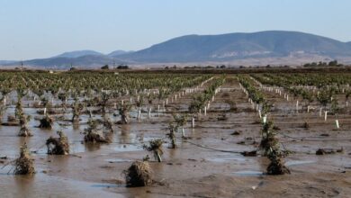ΕΛΓΑ:-Προσλήψεις-60-γεωπόνων-για-τις-εκτιμήσεις-των-ζημιών-από-φυσικές-καταστροφές