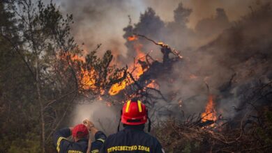 Χειροπέδες-σε-35χρονο-για-την-φωτιά-στο-Ρέθυμνο-–-Είχε-ανάψει-ψησταριά-με-κατηγορία-κινδύνου-4