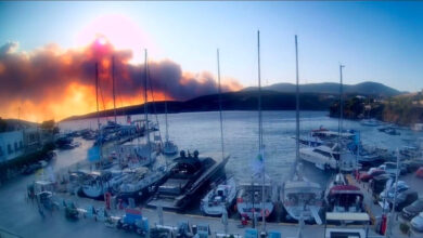 Καίει-ανεξέλεγκτη-η-φωτιά-σε-δάσος-στη-Σκύρο:-Ενισχύθηκαν-οι-δυνάμεις,-εκκενώθηκαν-2-οικισμοί