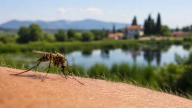 Ιός-Δυτικού-Νείλου:-Κρούσμα-στον-Δήμο-Τρικκαίων-–-14-στη-Θεσσαλία