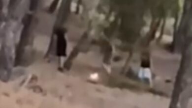 Εντοπίστηκαν-οι-13χρονοι-που-έπαιζαν-με-τη-φωτιά-σε-δάσος-στην-Πεντέλη-για-ένα-challenge-στα-social-media