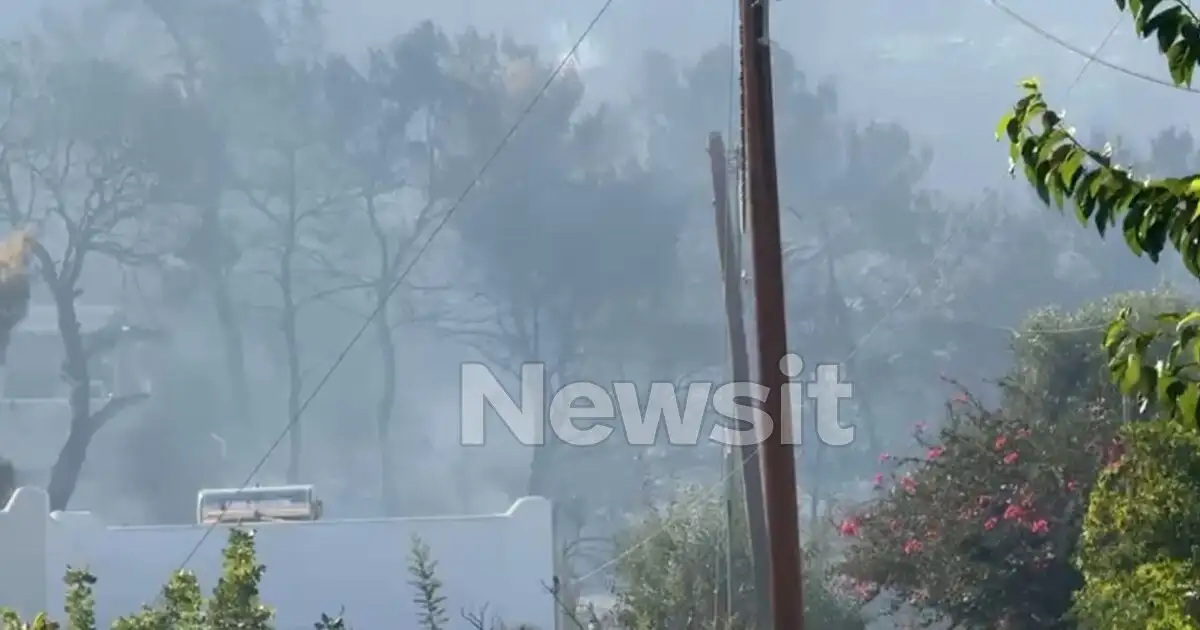 Φωτιά-στη-Σαλαμίνα:-Το-σημείο-που-βρέθηκαν-οι-δύο-νεκροί-–-Η-πυρκαγιά-ξεκίνησε-από-οικόπεδο-γεμάτο-σκουπίδια