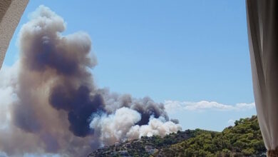 ΕΛΑΣ:-Προέχει-η-προστασία-της-ανθρώπινης-ζωής-στη-Σαλαμίνα-–-Πλήρης-διερεύνηση-μετά-την-πυρκαγιά
