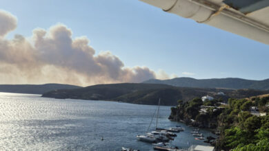 Φωτιά-στη-Σκύρο:-Πάνω-από-3.600-στρέμματα-έγιναν-στάχτη-–-Η-εικόνα-από-τον-δορυφόρο-copernicus