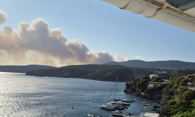 Φωτιά-στη-Σκύρο:-Πάνω-από-3.600-στρέμματα-έγιναν-στάχτη-–-Η-εικόνα-από-τον-δορυφόρο-copernicus