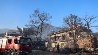 Φωτιά-στη-Σαλαμίνα:-Ολονύχτια-μάχη-με-τις-αναζωπυρώσεις-στα-Περιστέρια-–-Σοβαρά-3-από-τους-τραυματίες,-πολλά-καμένα-σπίτια